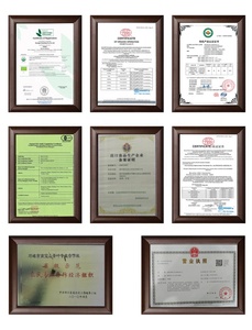 KAIYANGE <span class=keywords><strong>Thé</strong></span> noir en vrac biologique chinois EU/USDA <span class=keywords><strong>Thé</strong></span> LAPSANG SOUCHONG fumé Zheng Shan Xiao Zhong un bourgeon deux feuilles - Product Image 6