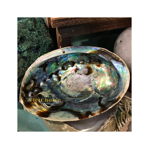 จี้เปลือกหอยเป๋าฮื้อธรรมชาติขายส่ง อุปกรณ์ทำเครื่องประดับ DIY พร้อมลูกปัดปะการังรูปไข่ รับรองโดยบุคคลที่สาม - Product Image 2