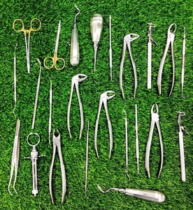Juego de 23 Instrumentos Básicos para Cirugía Dental Oral: Elevadores y Fórceps Manuales para Extracción de Dientes - Product Image 2