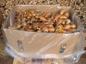 Extrait de poudre de gingembre de haute qualité du Vietnam – Qualité supérieure, norme d'exportation - Product Image 2