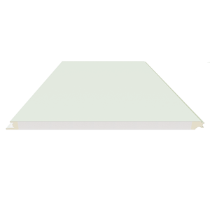 Panel de Pared Exterior PREXS EPS, Económico y Ligero, para Construcción Prefabricada - Product Image 2