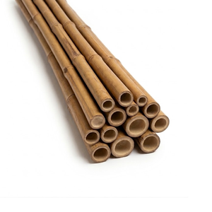 Postes de Bambú Vietnamita Premium de Alta Resistencia, Postes de Bambú Natural para Construcción, Agricultura y Soporte de Plantas Eco2go Vietnam - Product Image 6