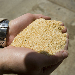 สายการผลิตอาหารสัตว์ปีกโปรตีนสูง เกรดอาหารสำหรับสัตว์  อาหารสัตว์จากถั่วเหลืองเต็มเมล็ด สำหรับไก่  ขาย - Product Image 6