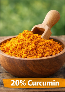 Extracto de curcumina premium en polvo de raíz de cúrcuma natural |   Disponible en 5%, 20% y 95% |   Fuente Salvaje |   Mejor Precio al por Mayor - Product Image 3