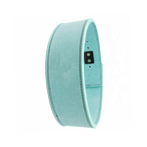 Cinturón de Levantamiento de Pesas Ajustable de Alta Calidad para Gimnasio y Fisicoculturismo, Nuevo Cinturón de Levantamiento de Pesas con Logotipo Personalizado - Product Image 2
