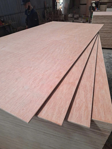 Hot Sale Natural Okoume Bintangor Wood Veneer Plywood/Acacia Plywood/Eucalyptus Plywood for Furniture Fancy Plywood - Product Image 3