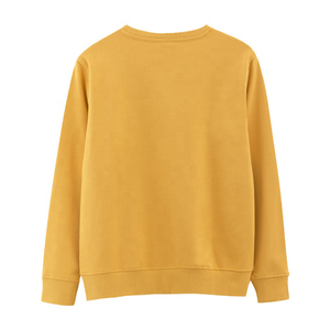 Nouvelle Arrivée 2026 – Sweat-shirt Col Montant Femme Coupe Oversize Court Pull Hiver Manches Longues pour Adolescentes - Product Image 2