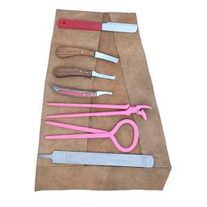 Outil de soin des sabots de cheval pour fermeur : Râpe à sabots, Testeur de sabots, Pince à sabots courbée, Couteau à sabots, Boucle à abcess, Couteau à sabots étroit et double face - Product Image 1