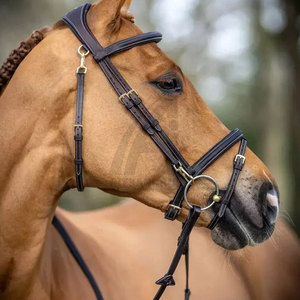 Bridas para Caballo de Cuero de Calidad Exclusiva y Ligeras con Cabezal Moldeado Ligeramente Curvado de Alexandria Industries - Product Image 6