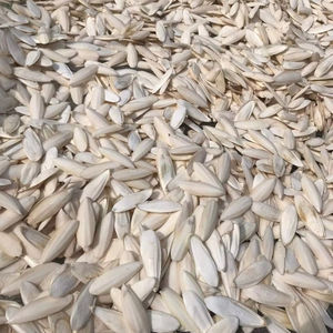 Polvo de hueso de sepia de alta calidad de exportación/hueso de sepia seco/hueso de sepia triturado de Vietnam Ms Lily - Product Image 1