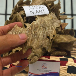 Virutas de Madera de Sándalo de Vietnam, Resina Media, Ecológicas, para Mezclar con Incienso y Bakhoor, Material Aromático - Product Image 1