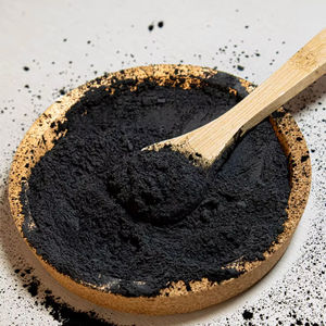 Carbón Vegetal Natural WARRLY a Base de Coco, Extracto Herbal de Grado Alimenticio, 99% Puro en Botella, Suministro a Granel, India - Product Image 1