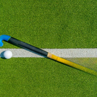 Ballon de hockey sur gazon personnalisé pour joueurs adultes, haute qualité, plastique rigide, couleur personnalisable, marques rouges, sports RMS-HB-07 personnalisé