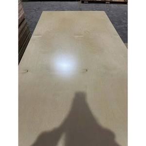Commercial Grade UV-Coated Plywood With Reliable Load Bearing Capacity And <b>Scratch</b>-Resistant Surface - Product Image 3