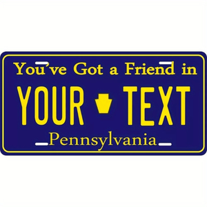 Targa Decorativa in Metallo Personalizzata CIFbuy 12x6 Pollici con Design Unico e Testo TikTok per Servizio di Ritiro Temu - Product Image 4