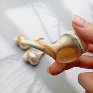 Concha decorativa para decoración del hogar, accesorio hecho a mano con conchas marinas, artesanía grande, adorno de lujo, hecho a mano en Vietnam - Product Image 3