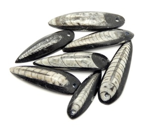 Top Drilled Orthoceras Long Pear Shape Teardrop Cabochon to make wire wrap pendant <b>locket</b> macrame jewelry - Product Image 1