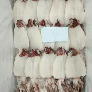 Calamari secchi della Corea del sud calamari secchi senza pelle con 2 anni di conservazione deliziosi snack di pesce seppia essiccata per l'esportazione
