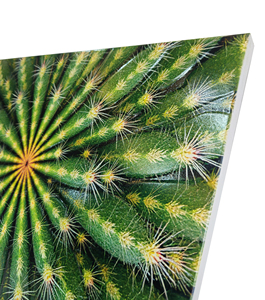 Arte Mural UV con Diseño Moderno y Multifuncional, Patrón Natural Cuadrado, Decoración para Colgar en la Pared, Tamaño y Forma Personalizables - Product Image 2