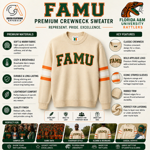 Sudadera con Logotipo Personalizado al por Mayor OEM FAMU Rattlers, 100% Algodón, Cuello Redondo, Corte Holgado, Estilo Urbano para Hombre, 370g - Product Image 5