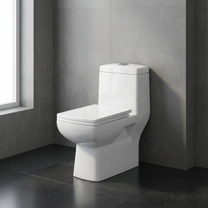WC monobloc allongé à siphon avec abattant et accessoires, ensemble de sanitaires en céramique - Product Image 6