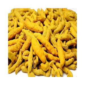 Doigts de curcuma abordables proposés aux grossistes et aux importateurs - Product Image 6