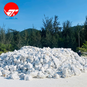 Nhat Thang VNT 7 VNT-2C Carbonate de Calcium Poudre Blanche Non Revêtue Pureté 98% Certifié ISO 9001 Mesh 1200 Qualité Revêtement - Product Image 1
