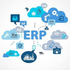 Servicios de Sistemas ERP Avanzados: Planificación de Recursos Empresariales, Automatización de Flujos de Trabajo e Integraciones Digitales Escalables - Product Image 3