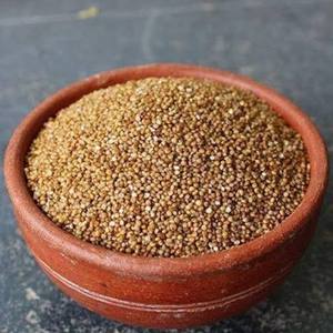 Millet Kodo en grains entiers, séché, sans gluten, certifié naturel, non glutineux, durée de conservation de 12 mois - Product Image 2