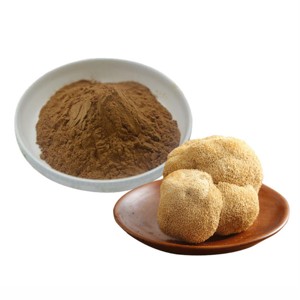 Extrait de champignon Crinière de lion 100 % pur et naturel 10:1 – Poudre d'extrait de Hericium Erinaceus de qualité supérieure pour la concentration et le soutien de la mémoire - Product Image 3