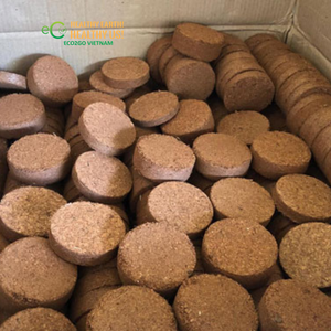ECO2GO VIETNAM - Sustrato Ecológico de Fibra de Coco para una Germinación Saludable de Semillas y Desarrollo de Plantas - Product Image 3