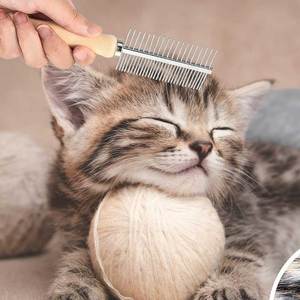 Peine para Mascotas con Acabado Antiestático, Diseño de Dientes Largos para Desenredar el Pelo y Cuidar el Pelaje Profundo - Product Image 4