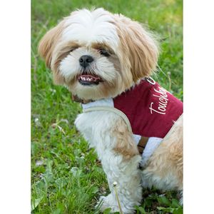 Arnés y Correa Ajustables para Perro, Accesorio Resistente para Mascotas, Estilo Boutique - Product Image 5