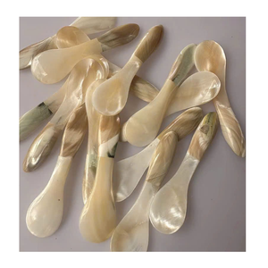 Cuillère en nacre de qualité supérieure, faite à la main, en coquillage naturel, pour servir des desserts, du thé, du café, pour restaurant, hôtel et maison - Product Image 4