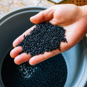 Riz Glutinoso Noir de Qualité Supérieure, Naturel, Vente en Gros, Produit d'Exportation, Offre Spéciale, Meilleures Ventes / Mme Alina - Product Image 4