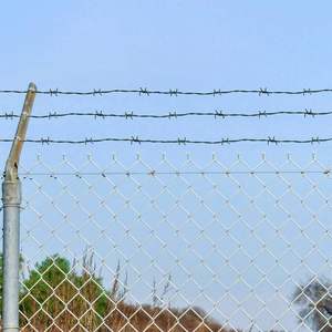 Fil barbelé en acier galvanisé à chaud, 328,08 pieds, vert, durable et résistant aux intempéries - Product Image 1