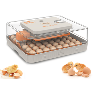 Incubatrice Automatica per 56 Uova con Controllo Digitale dell'Umidità, per Uova di Pollo, Anatra e Oca, Struttura in PC per Maggiore Durata - Product Image 1
