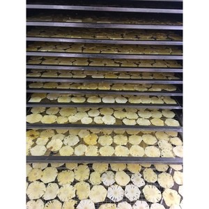 EN TENDENCIA: Rodajas de Piña Liofilizadas para Adorno de Cócteles, Naturales, Sin Azúcar Añadido, OEM Disponible, Snack para Bebidas Detox - Product Image 6