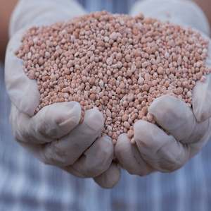 Cloruro de Potasio Certificado ISO (ZA) |   para uso agrícola e industrial |   Exportador Confiable - Product Image 6