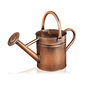 Regadera de Cobre con Boquilla Extraíble, Regadera Galvanizada para Interiores, para Bonsáis, Suculentas y Plantas de Interior - Product Image 1