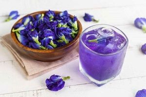 Flores de Guisante Mariposa Azul Natural, Pétalos Secos Sueltos, Té Herbal Adelgazante para Procesamiento de Bebidas, Suministro Directo a Granel de Vietnam - Product Image 2