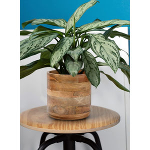 Maceta Geométrica de Madera al por Mayor, Moderna, Hecha a Mano, de Madera Natural, para Interiores, Decoración del Hogar y Oficina, Buen Precio - Product Image 4