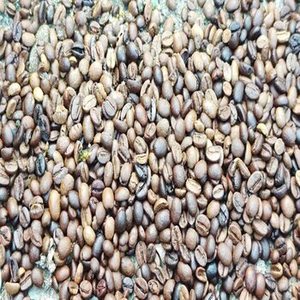 Granos de Café Arábica Tostados Puros de Alta Calidad, 100% Puro, Grado A, Paquete de 1 kg, Mejor Precio, Importación, Compra al por Mayor - Product Image 6