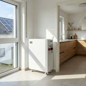 Batería de Almacenamiento de Energía Doméstica de 16 kWh LiFePO4 51.2V 314Ah, Inversor Híbrido Solar de Pie, Energía de Respaldo de 16 kWh para el Hogar - Product Image 6