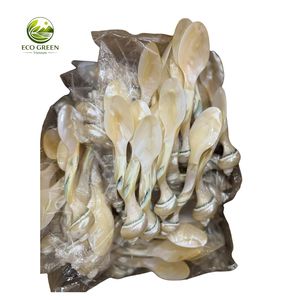 Cuchara Artesanal de Nácar con Mango de Resina, Cuchara de Café de Concha Natural, Utensilio de Cocina, Regalo - Product Image 1