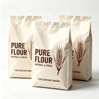 Emballage personnalisé pour farine avec logo imprimé, sacs en aluminium Mylar de 1 kg, 2 kg, 5 kg pour farine, emballage composite pour farine de 2 kg