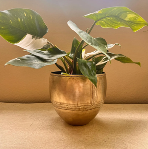 Maceta de Aluminio Cromado con Patrón en Relieve, Diseño Floral Elegante, Calidad Superior, Nueva Colección para Jardín, Ecológica - Product Image 6