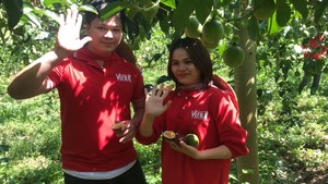 Fruit de la passion 30 pour cent 2000 ml 67.6 floz concentré de jus VINUT 6 bouteilles par carton bouteille pet OEM marque privée Vietnam - Product Image 4