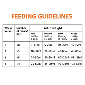 Premium Milk Powder for Dogs Cats Puppies and Kittens Complete Nutrition for Healthy Growth & Development OEM ODM Private Label - Product Image 4