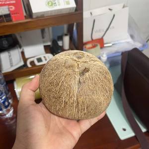 Noix de coco semi-décortiquée, emballage OEM disponible pour l'exportation, fruit tropical frais et mûr, origine Vietnam, produit en gros et en vrac - Product Image 6